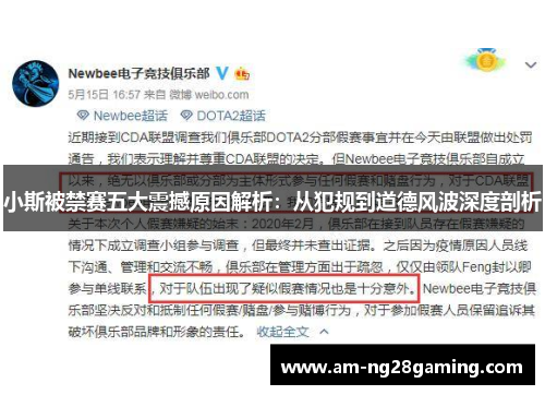 小斯被禁赛五大震撼原因解析：从犯规到道德风波深度剖析