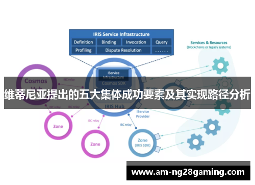 维蒂尼亚提出的五大集体成功要素及其实现路径分析