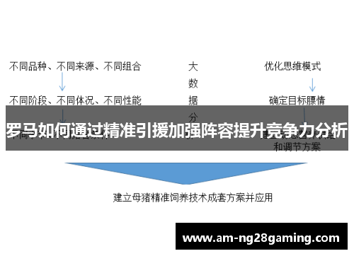罗马如何通过精准引援加强阵容提升竞争力分析