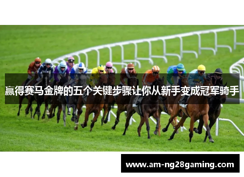 赢得赛马金牌的五个关键步骤让你从新手变成冠军骑手