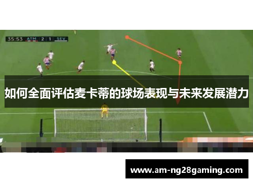 如何全面评估麦卡蒂的球场表现与未来发展潜力 如何全面评估麦卡蒂的球场表现与未来发展潜力