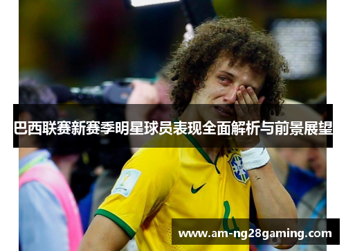 巴西联赛新赛季明星球员表现全面解析与前景展望