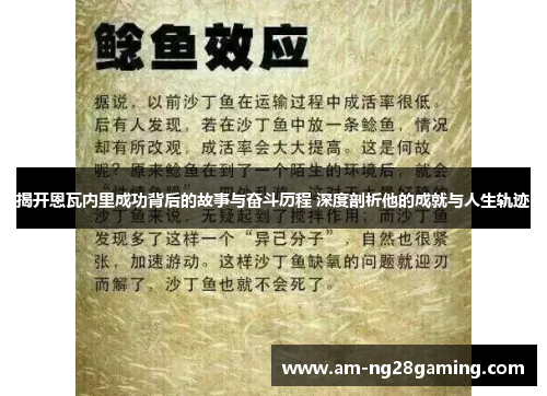 揭开恩瓦内里成功背后的故事与奋斗历程 深度剖析他的成就与人生轨迹
