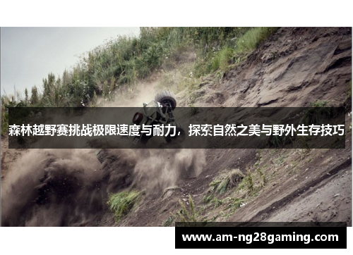 森林越野赛挑战极限速度与耐力,探索自然之美与野外生存技巧 森林越野赛挑战极限速度与耐力,探索自然之美与野外生存技巧