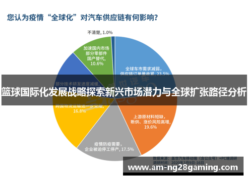 篮球国际化发展战略探索新兴市场潜力与全球扩张路径分析 篮球国际化发展战略探索新兴市场潜力与全球扩张路径分析