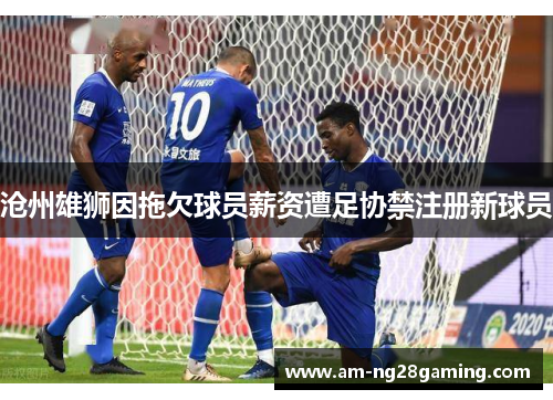沧州雄狮因拖欠球员薪资遭足协禁注册新球员