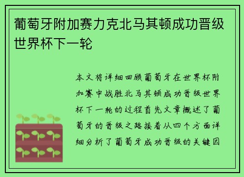 葡萄牙附加赛力克北马其顿成功晋级世界杯下一轮